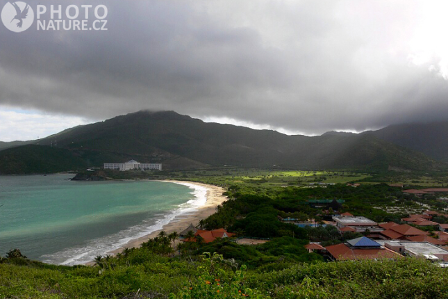 Isla Margarita, Venezuela